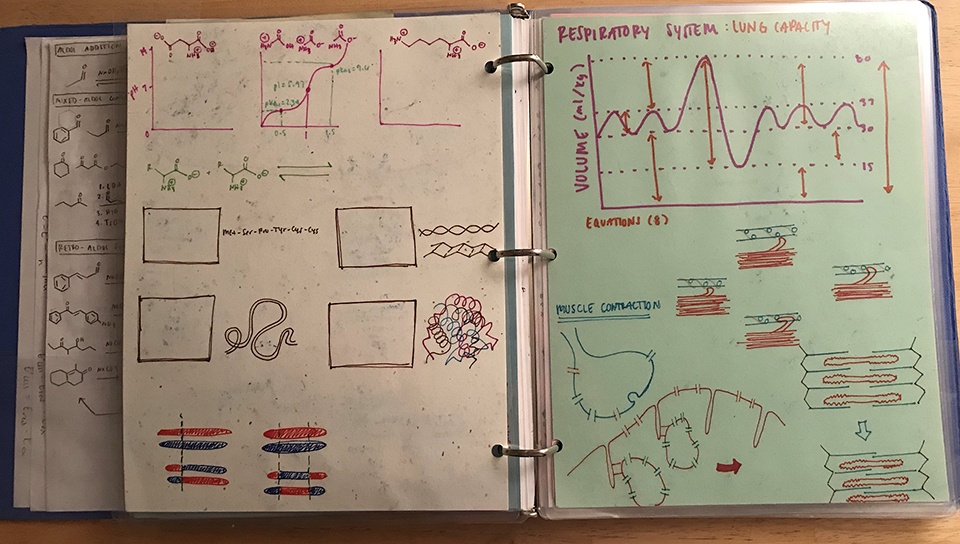 Lindsay's MCAT study notes!